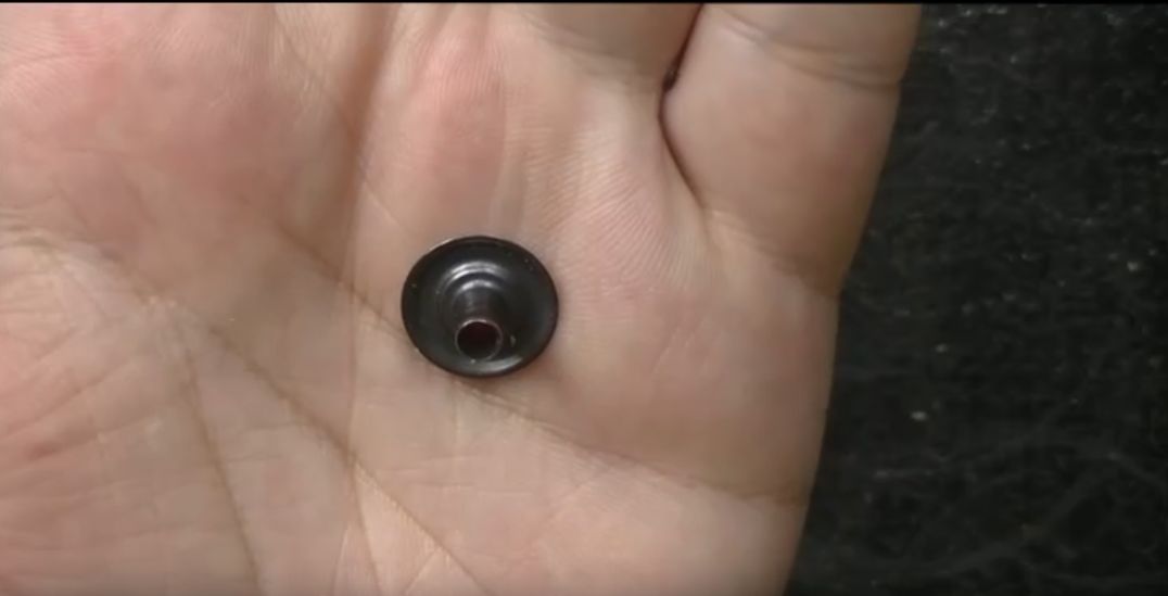 ジャンパーホックのオス