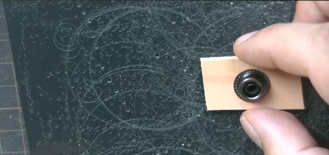 ホソにゲンコを乗せる様子